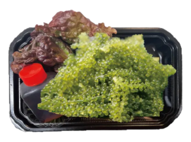 沖縄 海ぶどう